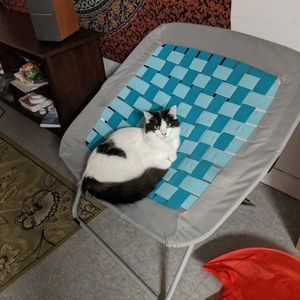 Meet your Posher, Julia